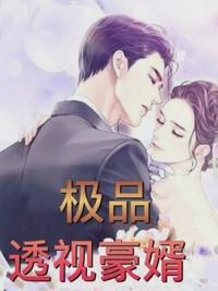 极品透视豪婿