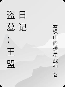 盗墓：王盟日记